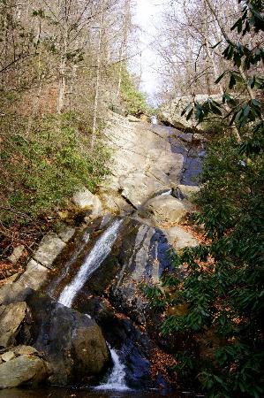 Glen Burney Trail